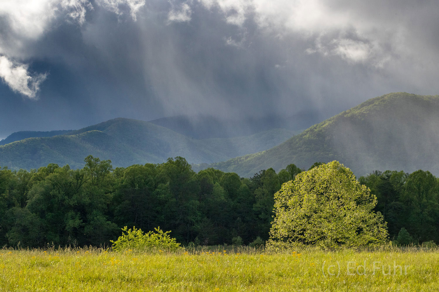 Spring Storm Rays of light break through the arriving storm clouds in Cades Cove.