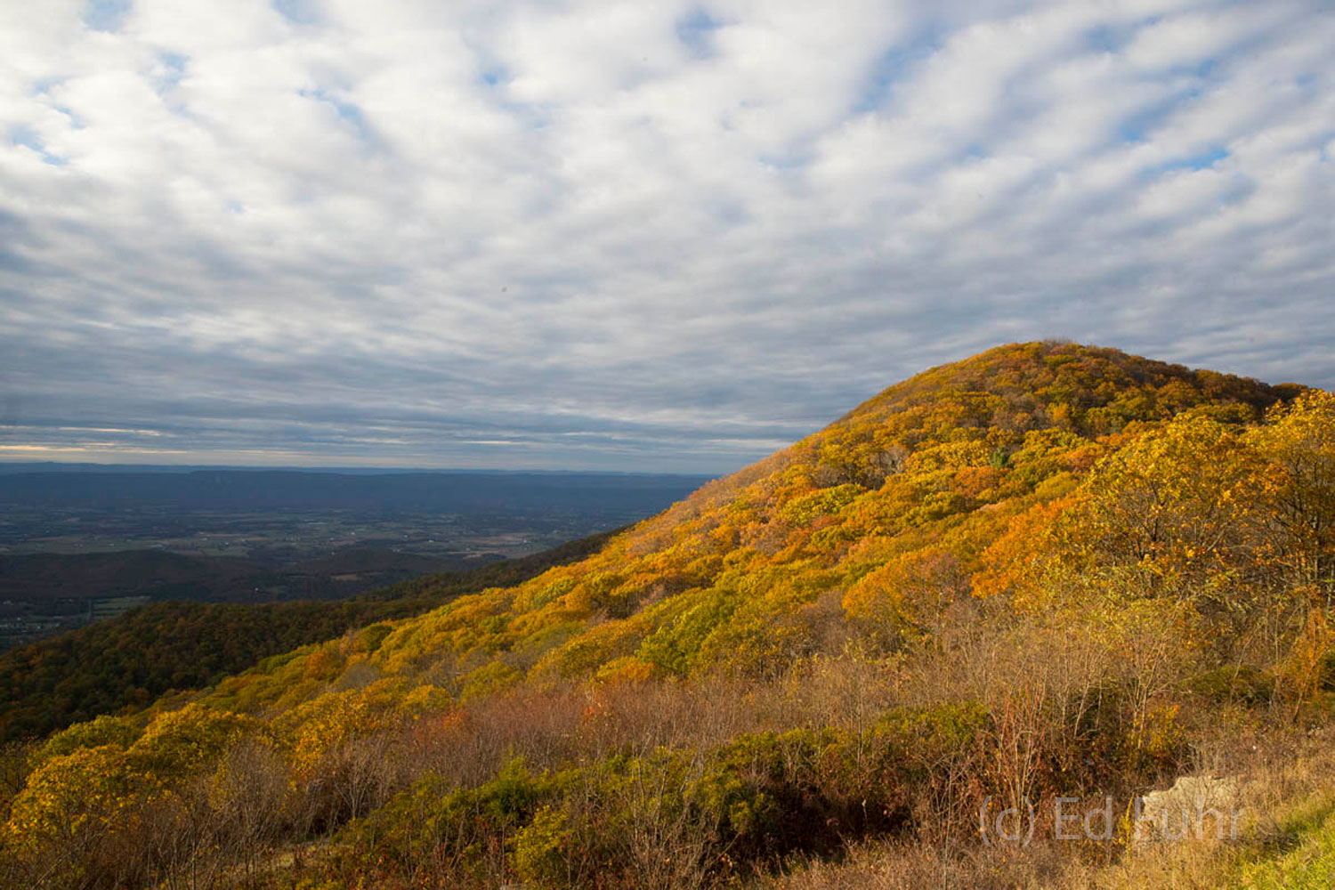 Timber Hollow Overlook provides a sweeping view to the west, the rounded top of Naked Top mountain and into the Shenandoah valley...