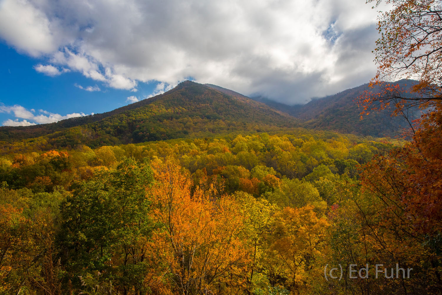 A Place to Share with A Friend Carlos Campbell Overlook offers a spectactular autumn view of Leconte Mountain, and an even better chance to visit with a friend...