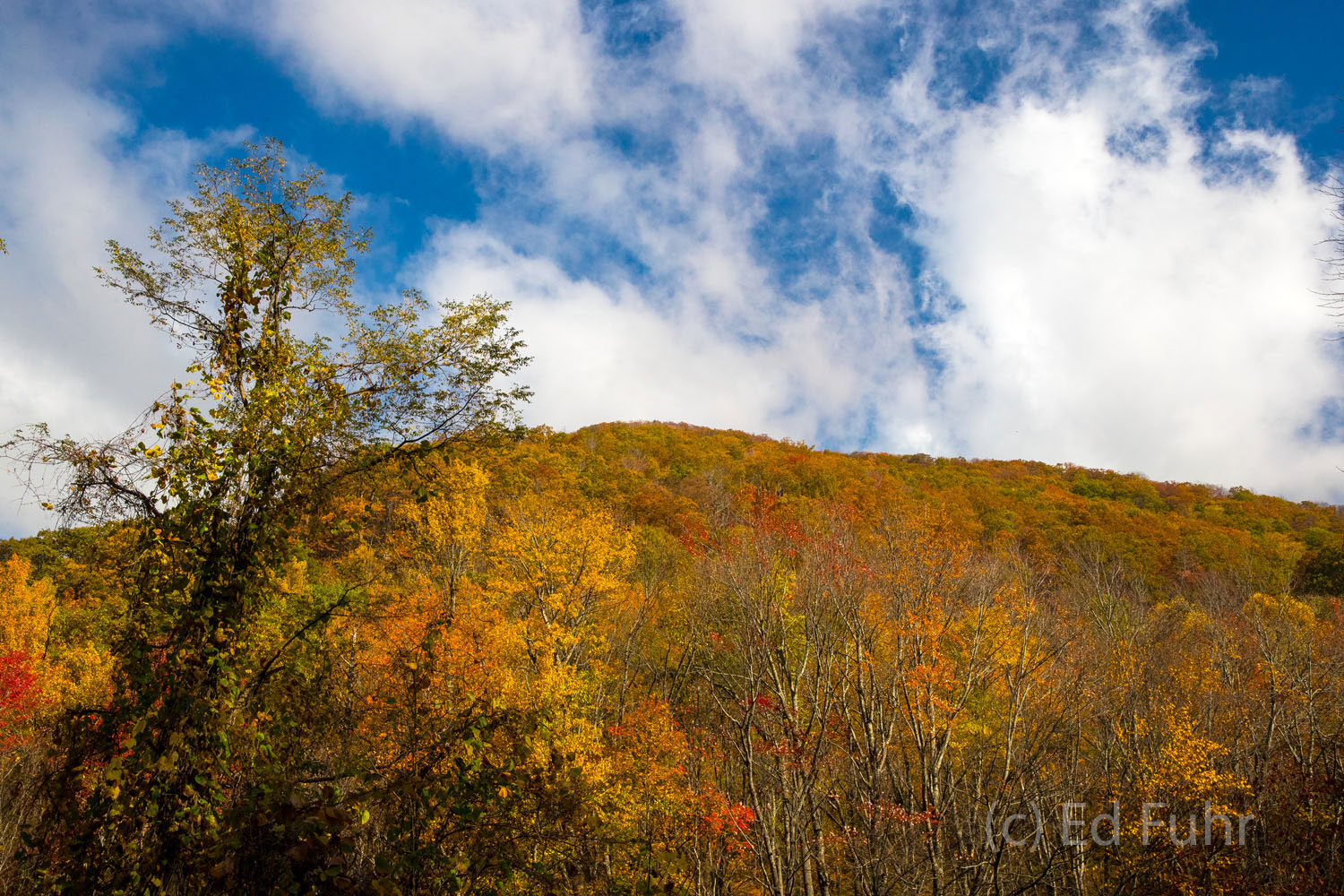 A colorful autumn ridge in late October