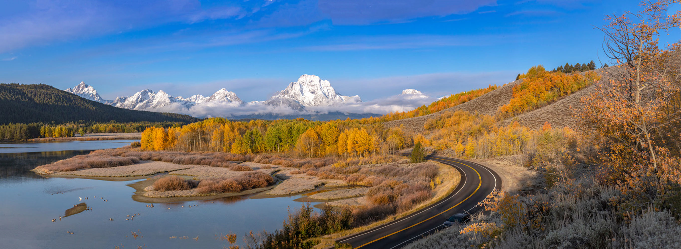 Autumn Panorama at Oxbow Bend 2019 One of the most glorious spectacles in our national park system, autumn at Oxbow Bend.