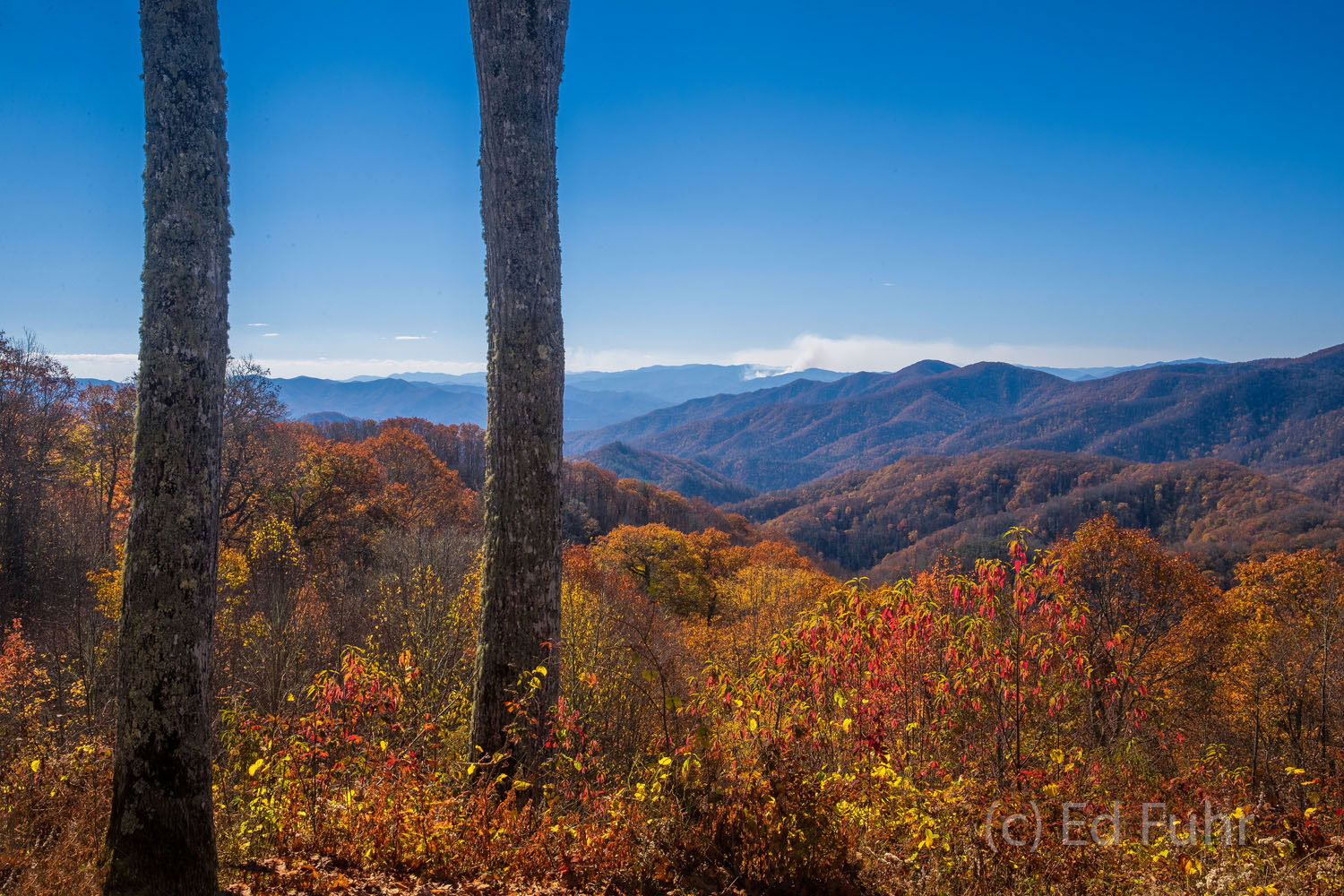 Deep Creek Autumn View Infrequently visited and explored, the Deep Creek area of the Great Smoky Mountains offers numerous waterfalls and stunning autumn...