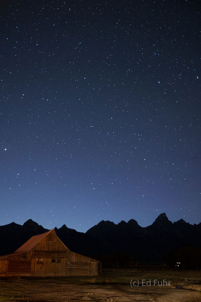 Evening Light Stars