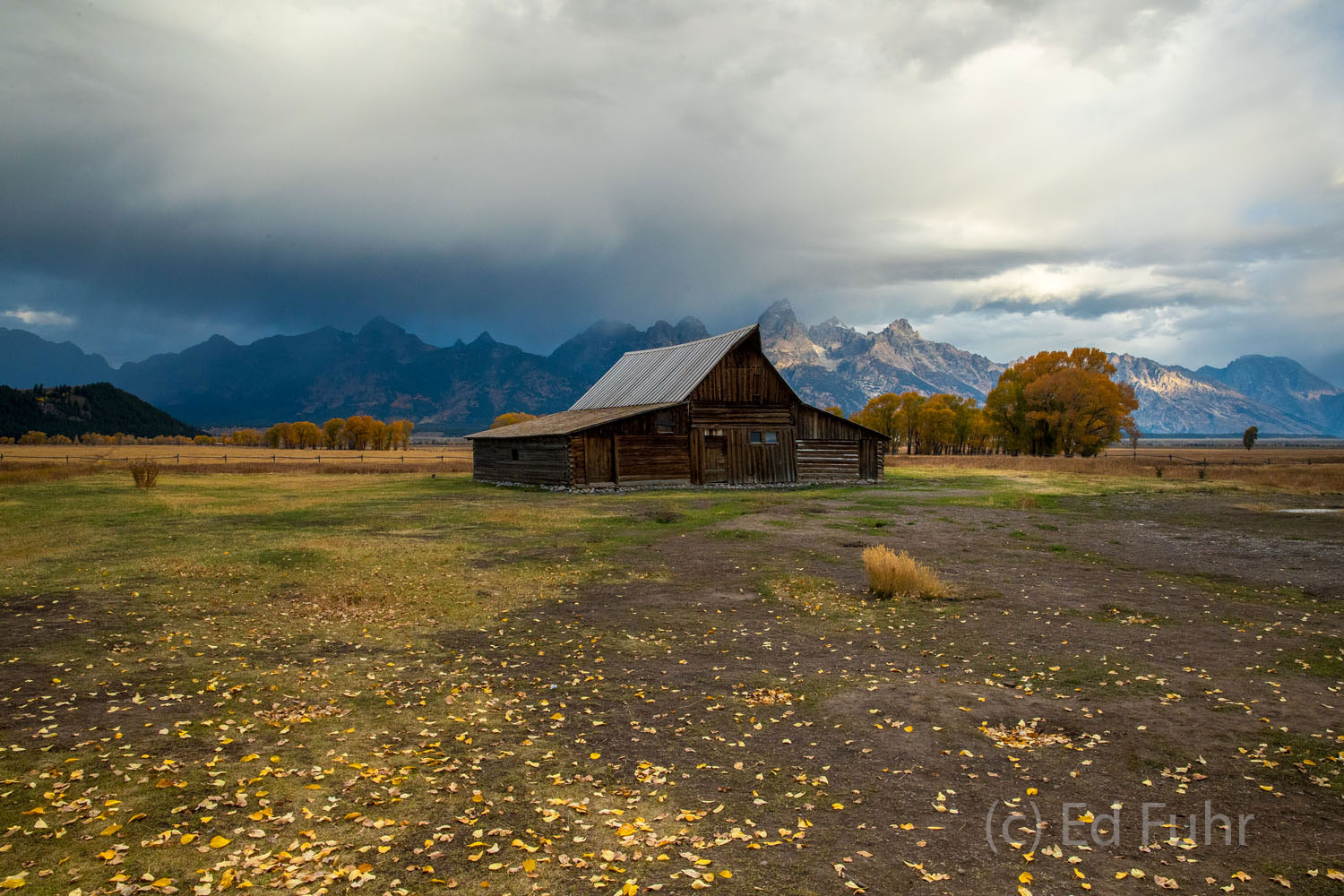 Teton Passage As autumn depends, the grasses have turned brown and the last leaves of fall are nearly all down.