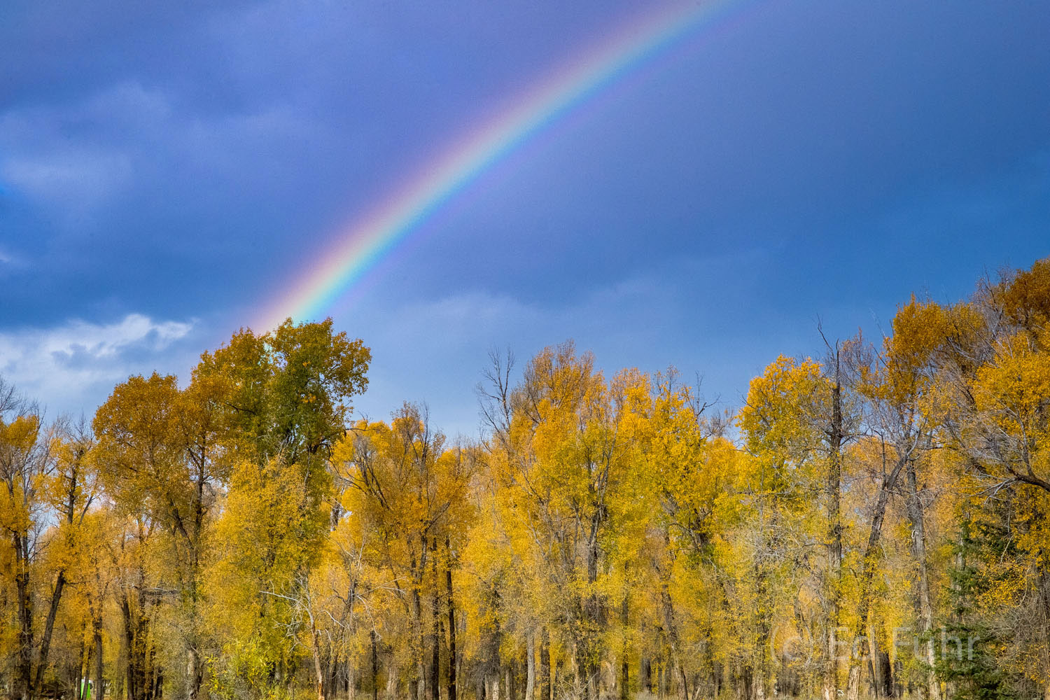 A rainbow emerges after a brief autumn rain.