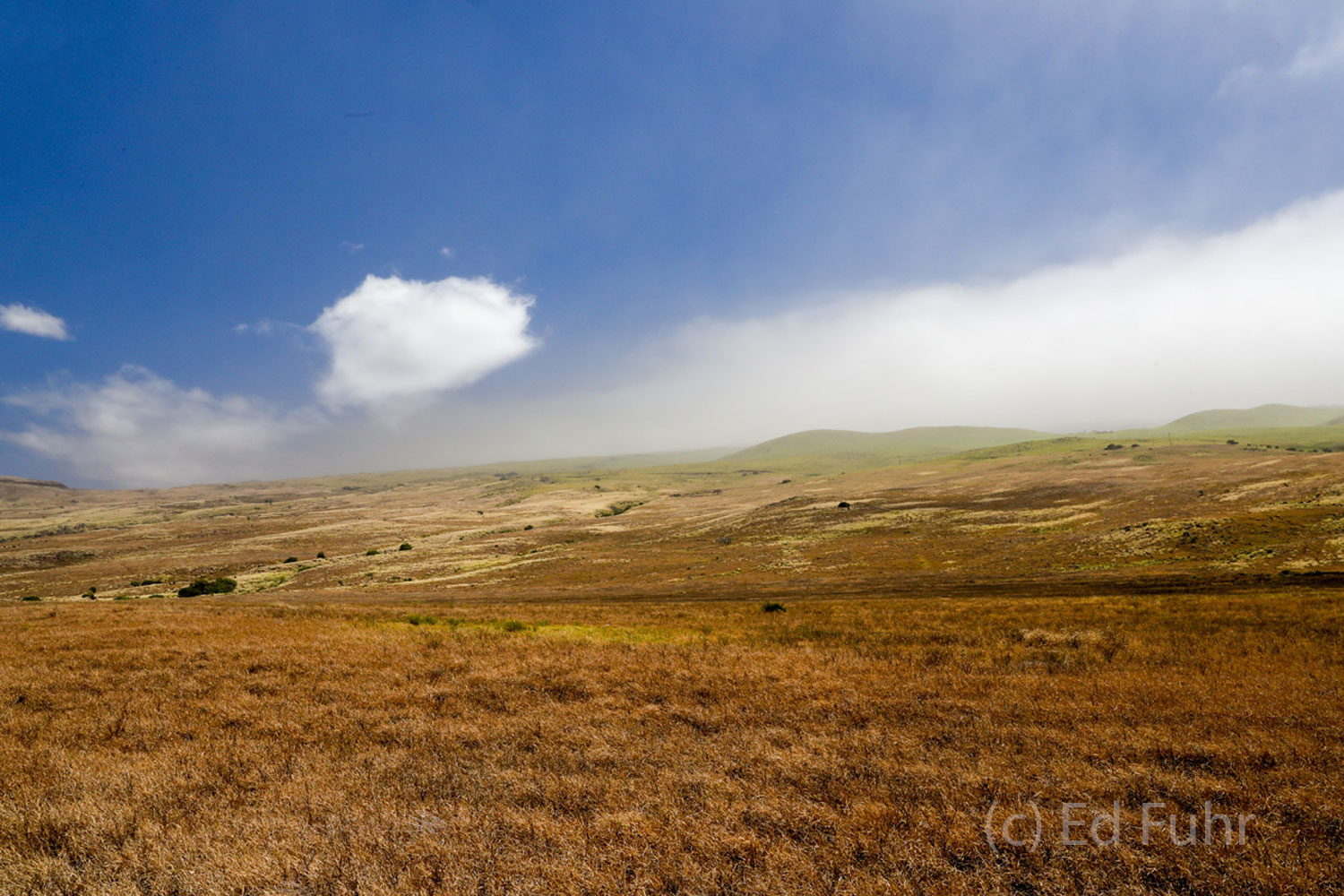 Sweeping ranches dot the northwestern shore of the Big Island.