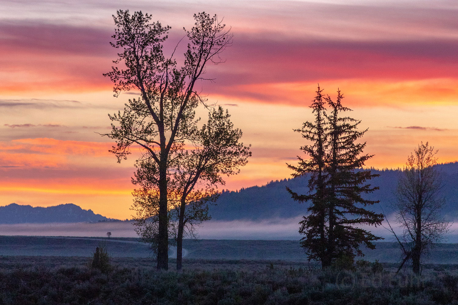Blacktail Sunrise An easy sunrise from Blacktail Pond.