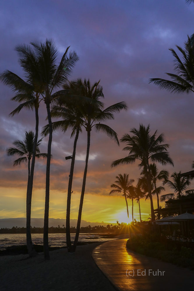 A morning sunrise along the shore near the Four Seasons brought this beautiful scene.  If this is a more entrancing place to...