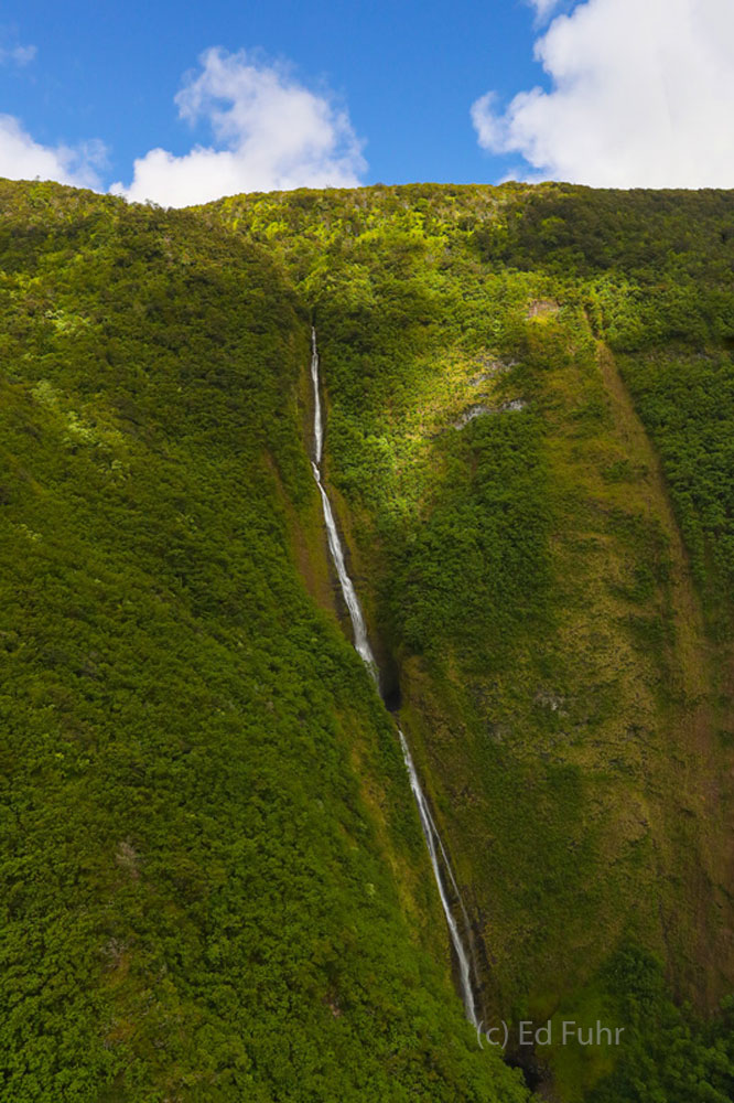 An unnamed waterfall north of the Kohala region is like some scene from a tropical movie.