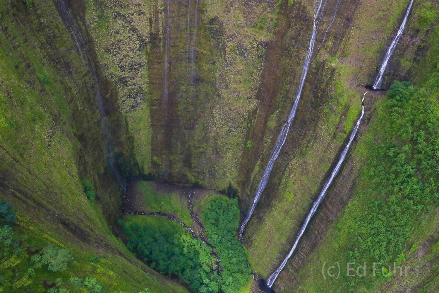 Hillawe Falls are located in the back of Waipio Valley and can only be reached by air or by a careful hike avoiding the private...