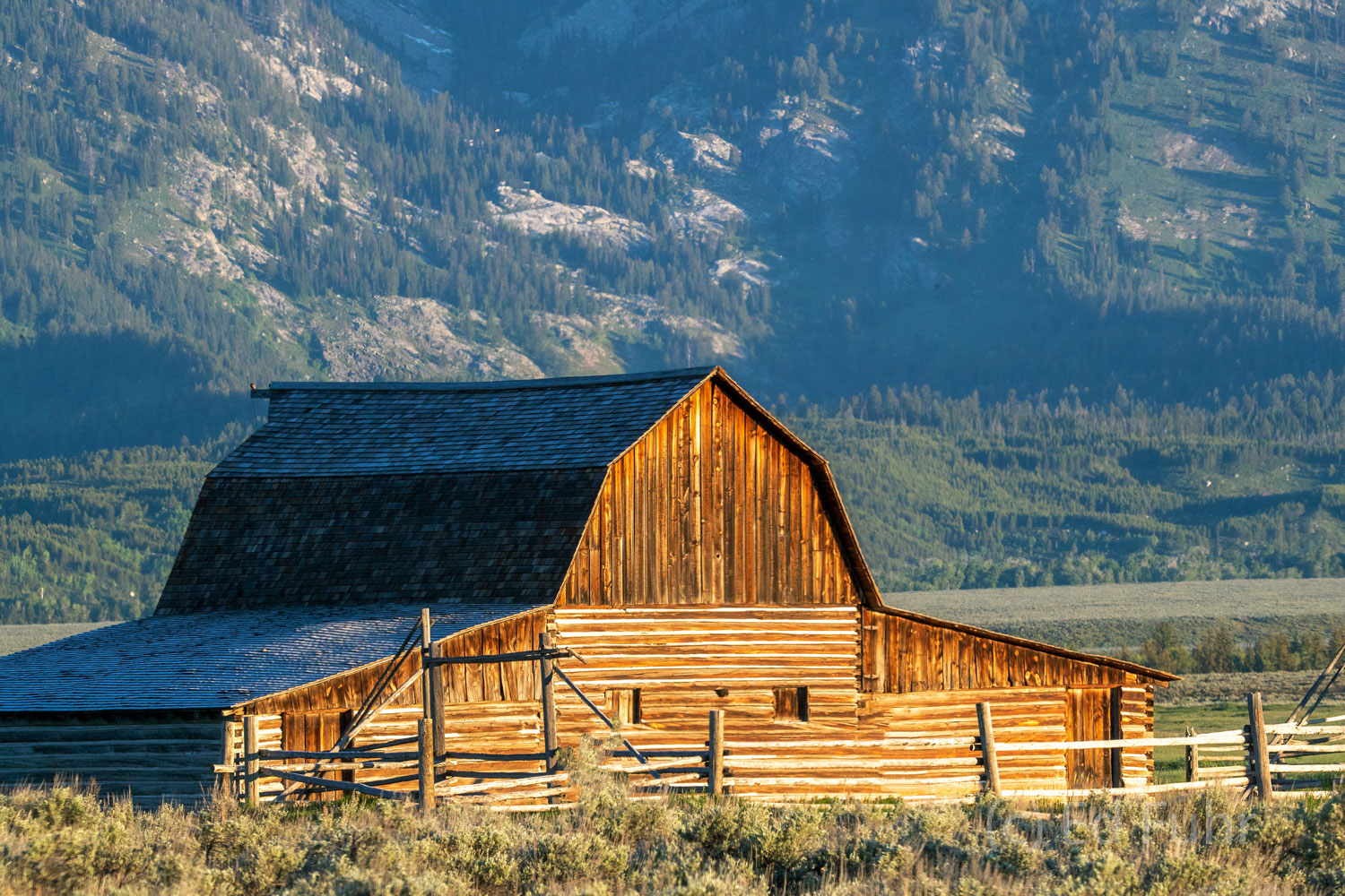 John Moulton Barn The John Moulton barn, one of the classic barns along Mormon Row, glows in the early sunrise.