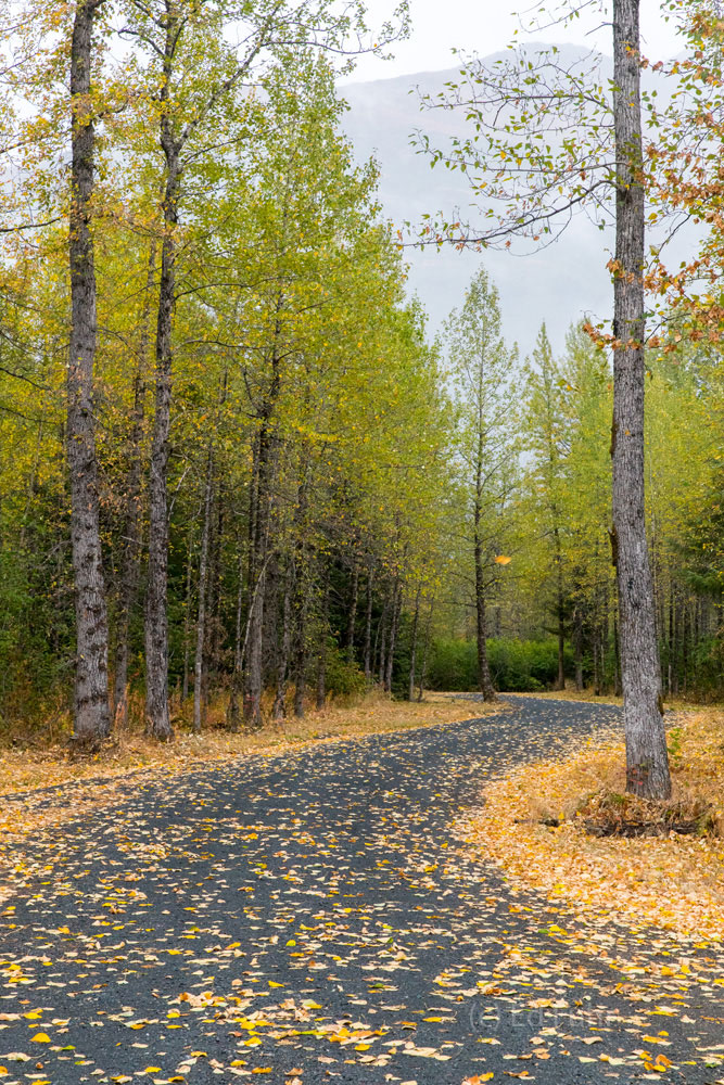 Autumn Road in Alaska