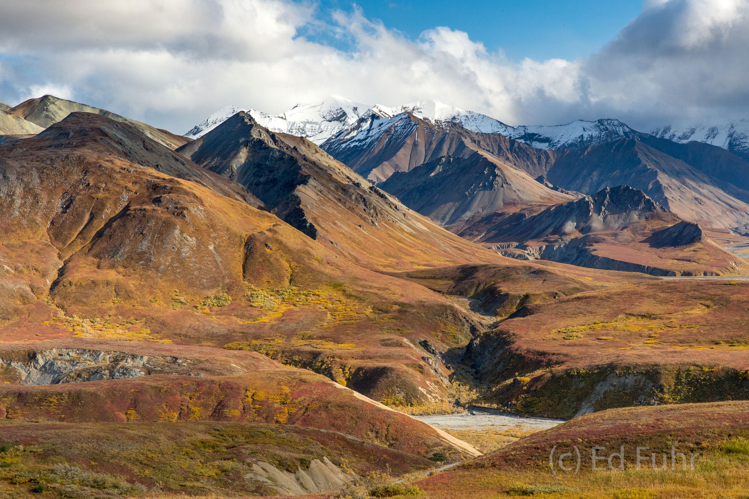 One of Denali's most sensational views can be found here at Thorofare Pass and Gorge Creek
