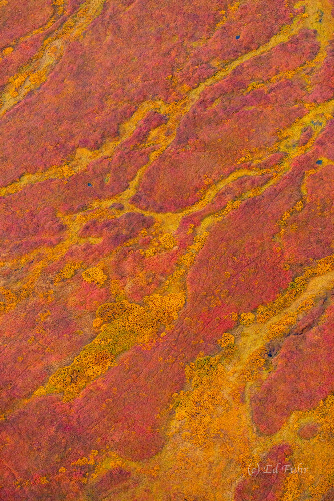 Denali, 2021, aerial