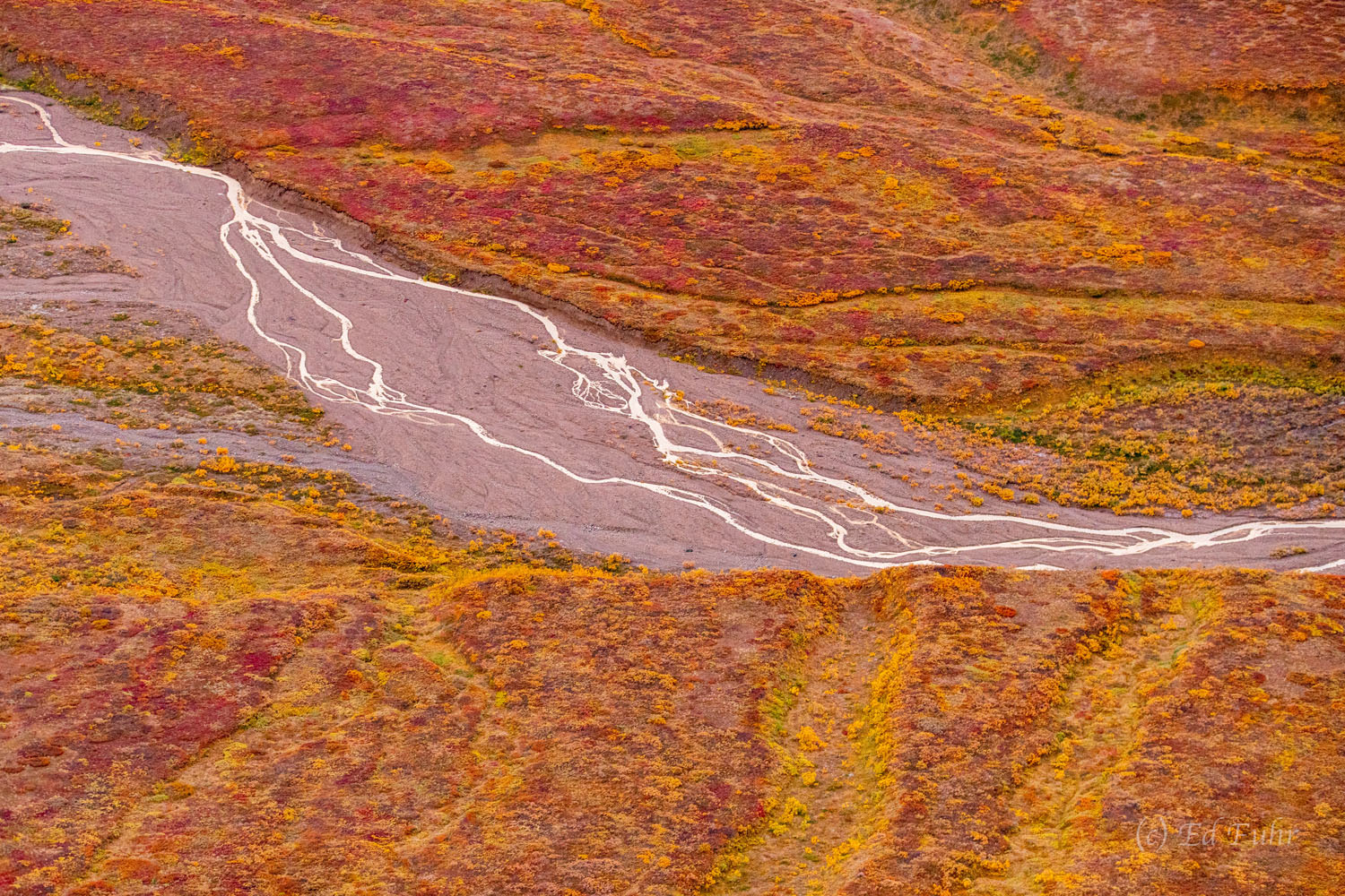 Autumn Tributary Denali, 2021, aerial