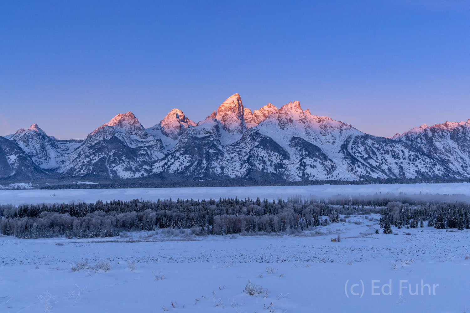 The first rays of morning strike the tip top of the peaks of the Teton range.  It is a sight to behold as the peaks begin to...