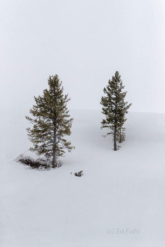 Still Deep In the higher elevations, deep snow remains in the Grand Teton region.