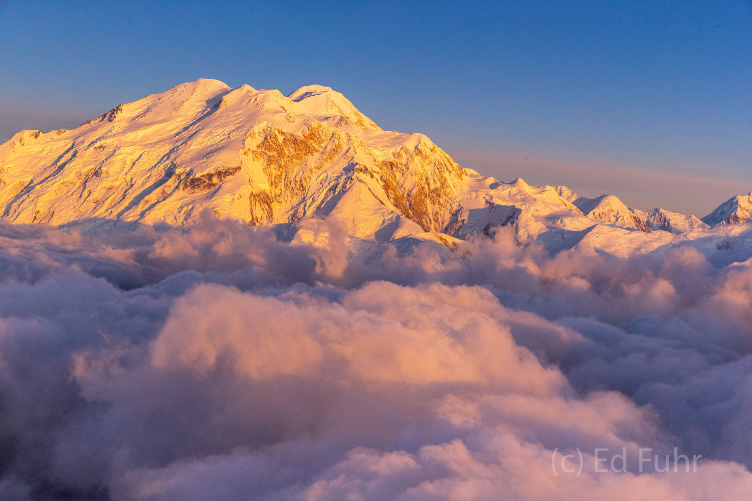 Denali's Golden Glow - in moments like this you forget the turbulence and rush of frigid air as you hang out the open door of...