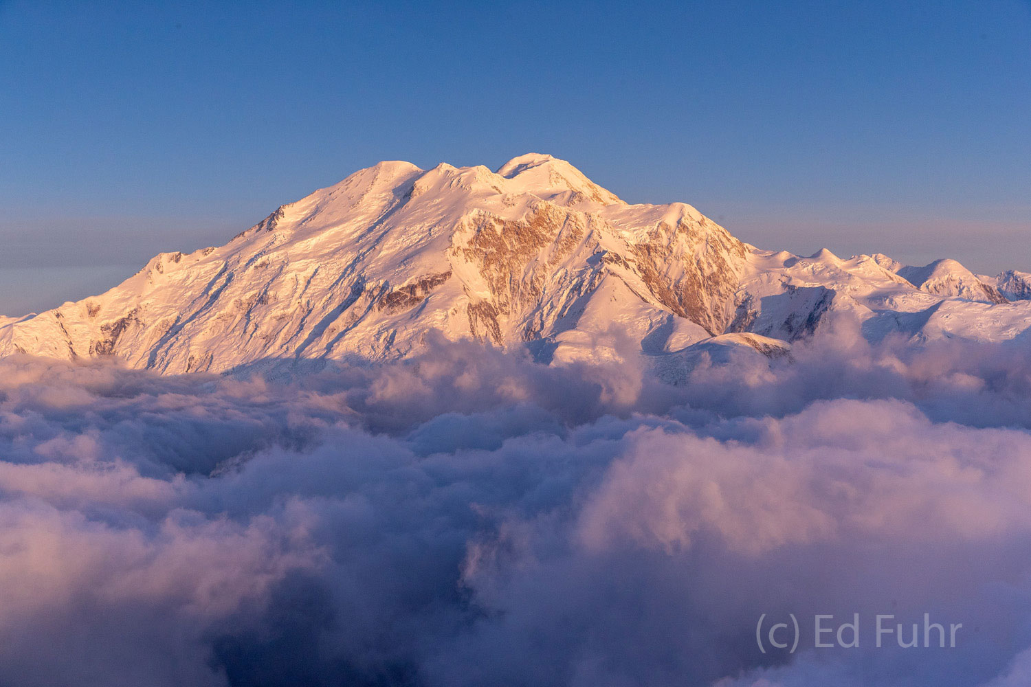 The golden glow of sunset begins to fade on Denali