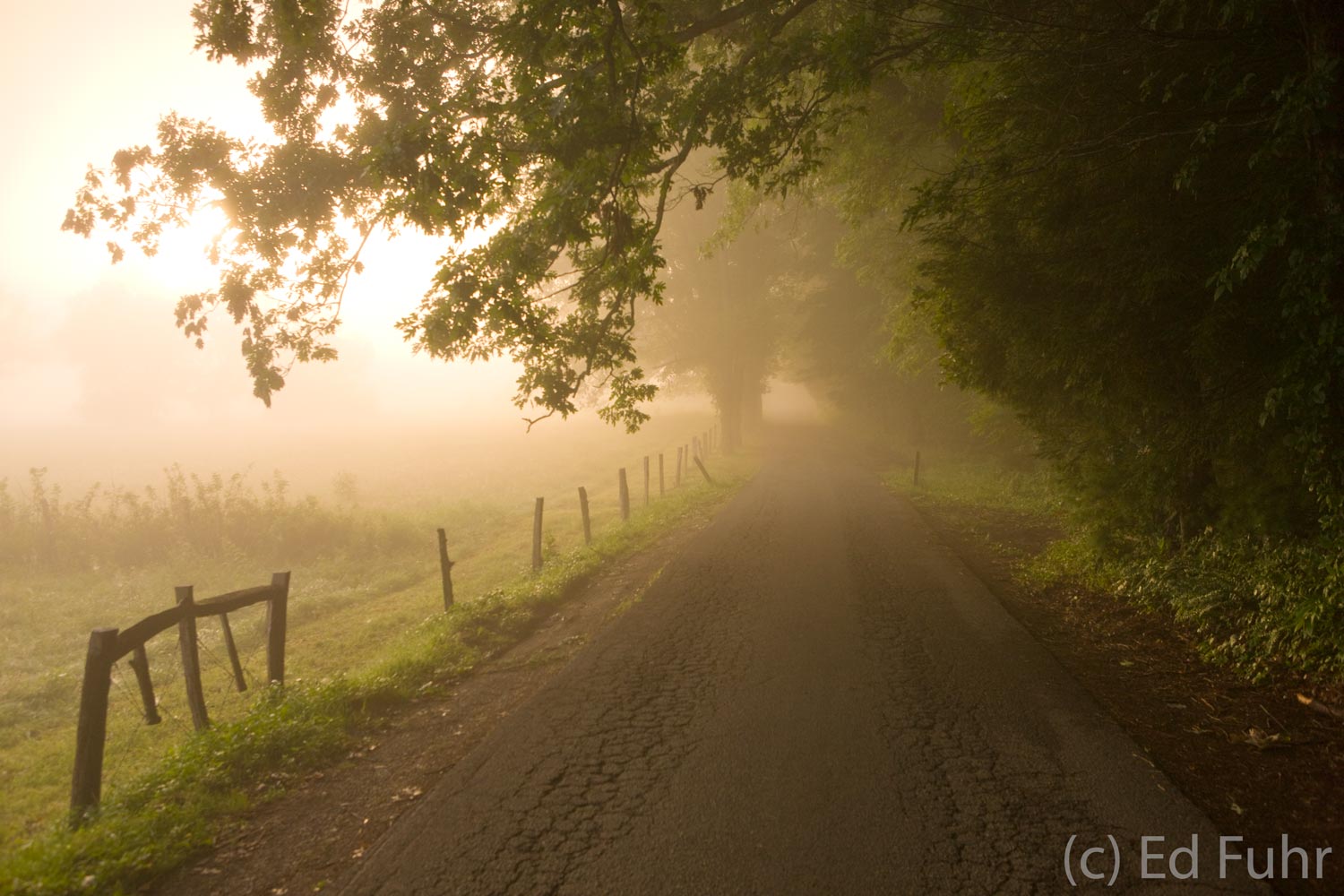 Travelers at sunrise on the famous loop road&nbsp;are treated to a much quieter and more beautiful&nbsp;side of Cades Cove.
