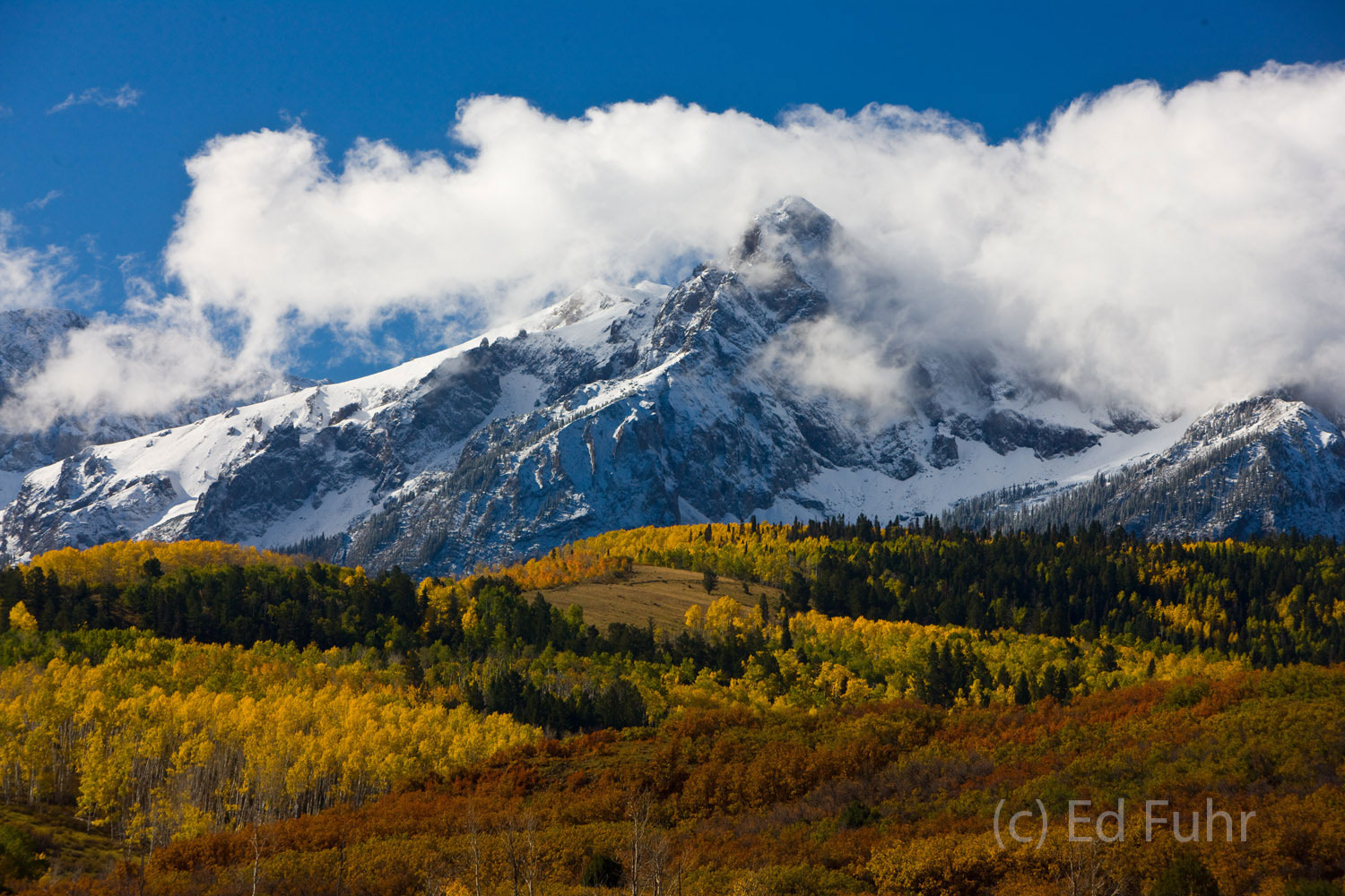An early September snow blankets the high peaks of the San Juans even as the aspens below reach peak.   