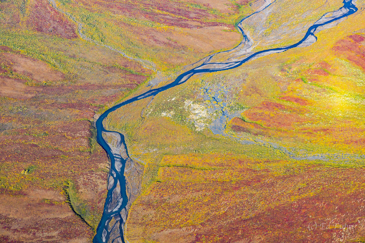 There is no better vantage to appreciate the twists and turns, interconnectedness and abstract beauty of Denali's rivers than...