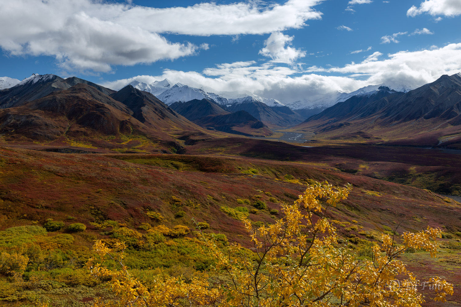 Denali, alaska, 2022
