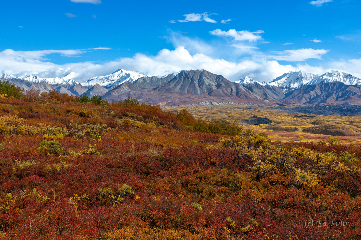 Denali, alaska, 2022