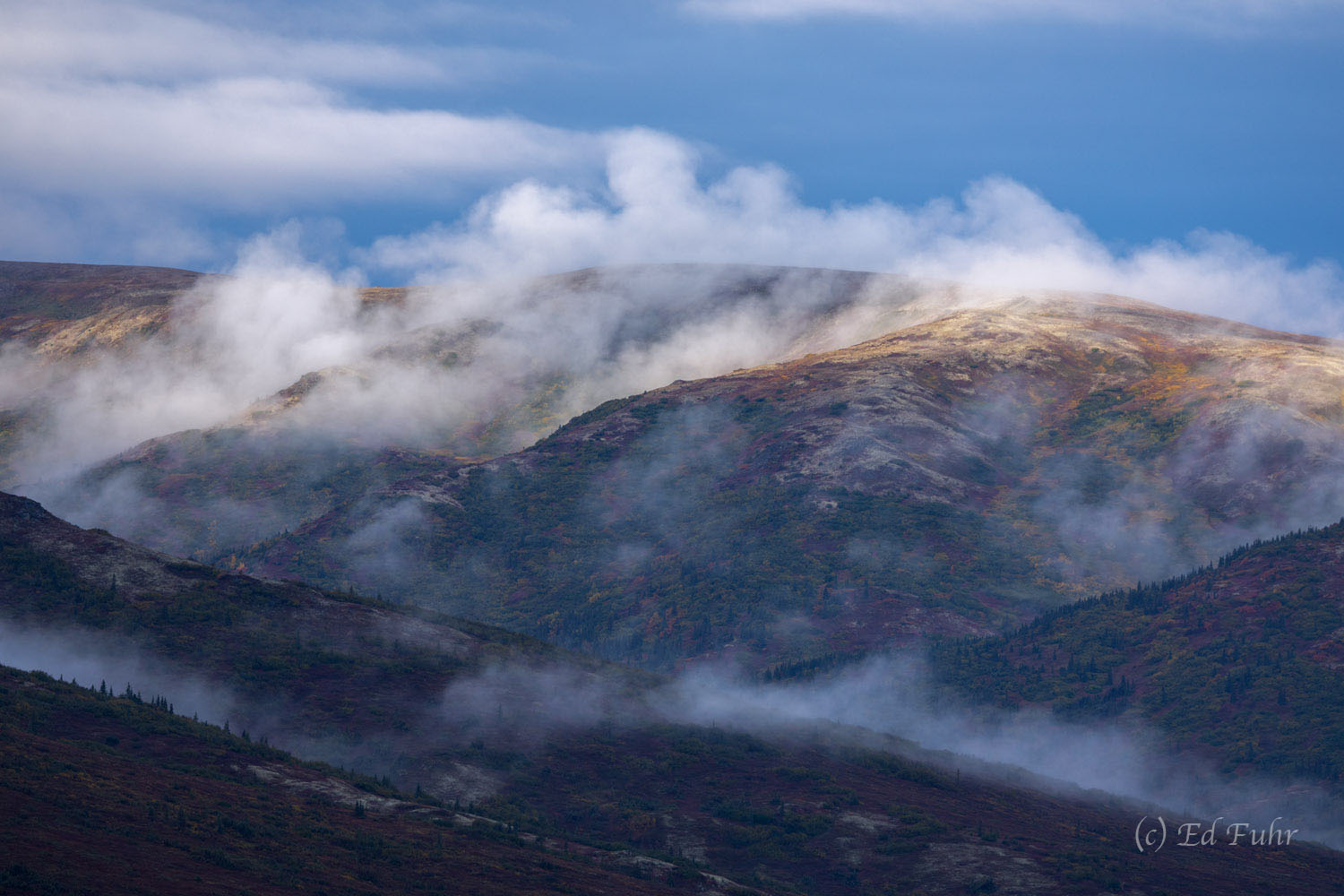 Fog rolls in over the western hills near Kantishna.