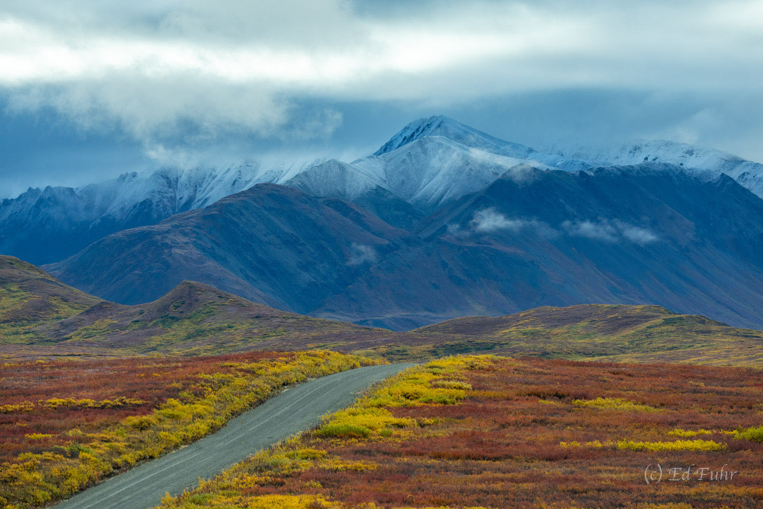 The 2021 landslide has brought an enduring quiet to the Denali Park road.
