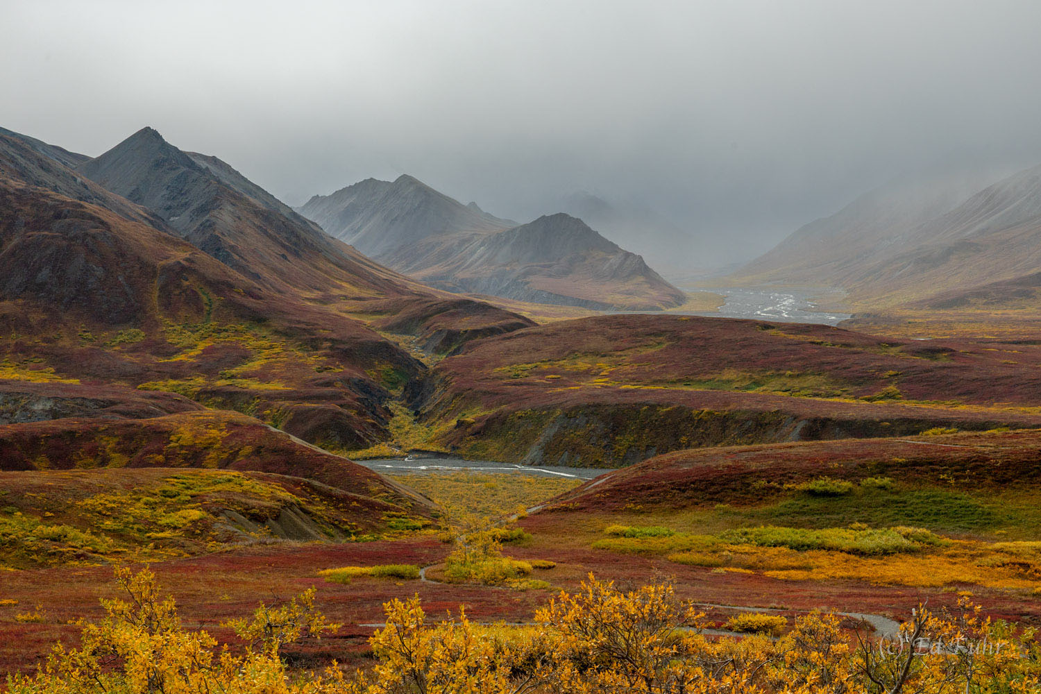 Denali, alaska, 2022