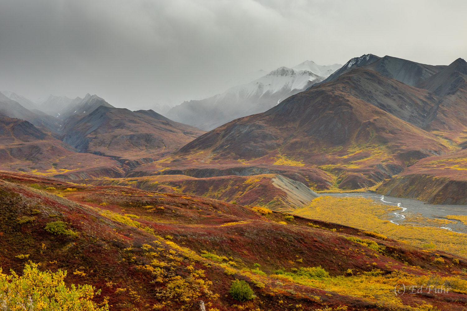 Autumn Palette