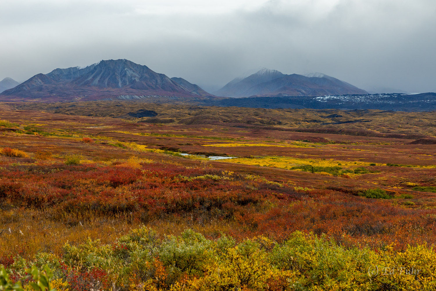 Flowing some 40 miles from Denali's northeastern slopes, Muldrow Glacier cuts though the autumn tundra.