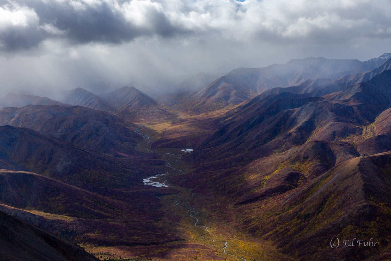 One of Denali's many rivers courses between the mountains that rise to the east and west of this valley.