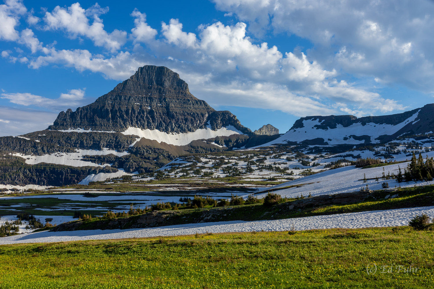 Rising prominently above Logan's Pass, Reynolds Mountain is one of the landmark peaks that dominates the Glacier skyline.