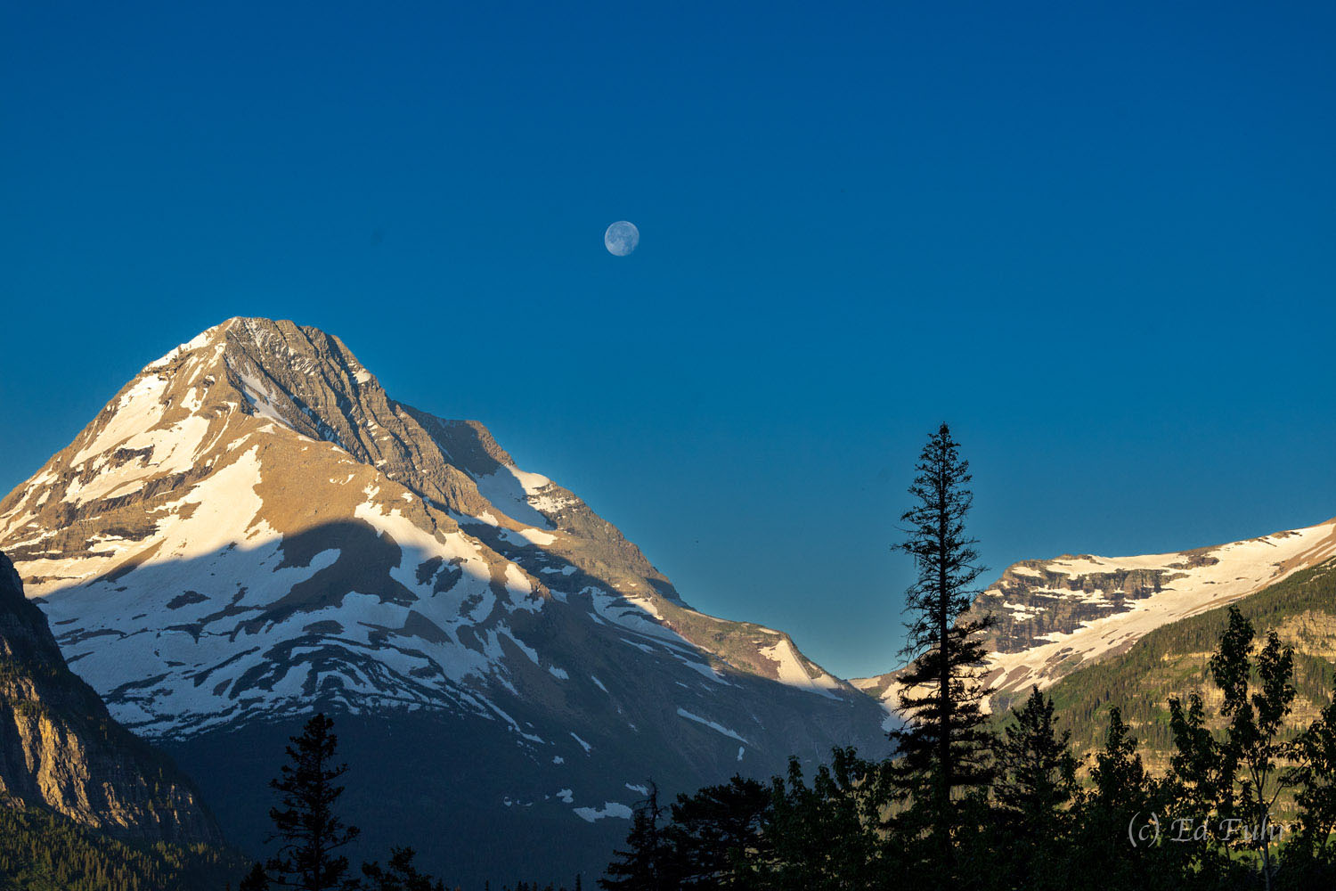 Jackson Glacier and its namesake mountain are now more easily viewed from the Going to Sun Road east of Logan Pass.
