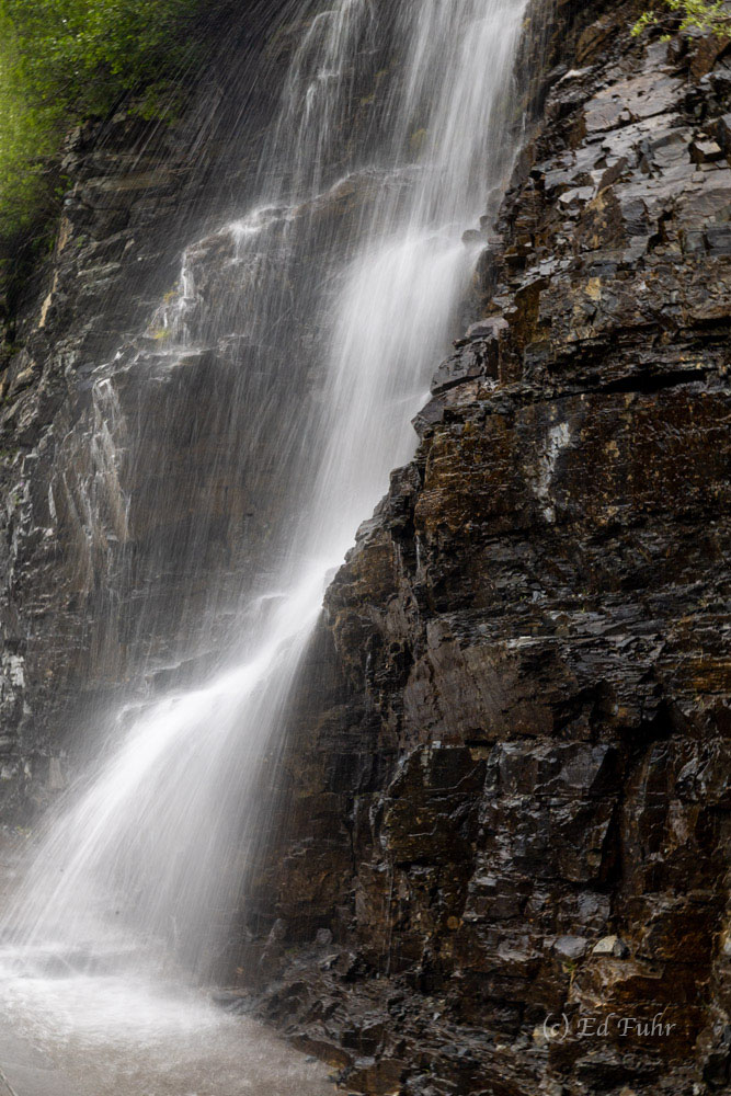 Countless cascades and falls tumble down the vertical rock walls that rise straight above Going to the Sun Road.