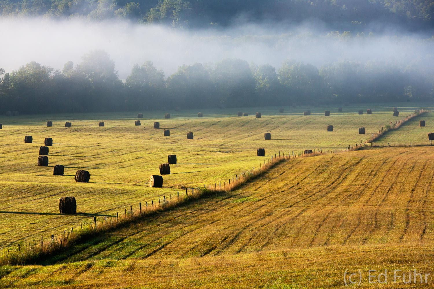 Hay Field Great Smoky Mountains National Park Ed Fuhr Photography