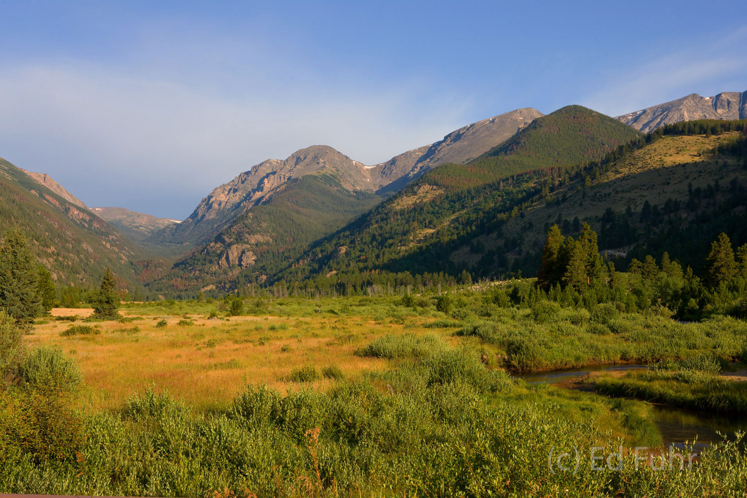 Summer Sweet Horseshoe Park, RMNP, CO Ed Fuhr Photography