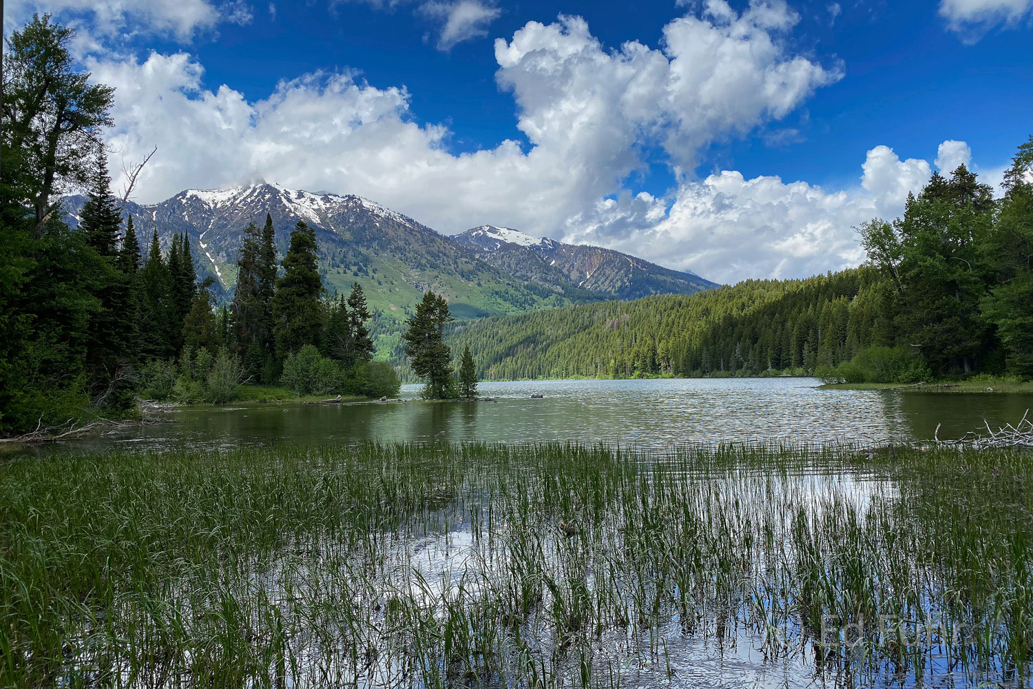 Phelps Lake is a study in tranquility on a lazy summer afternoon.