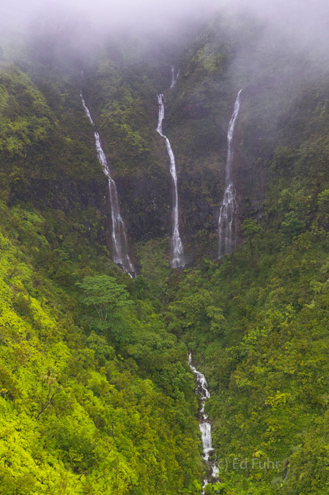 Largely desolate and isolated, Kauai's waterfalls have served as the inspiration and backdrop to countless movies.