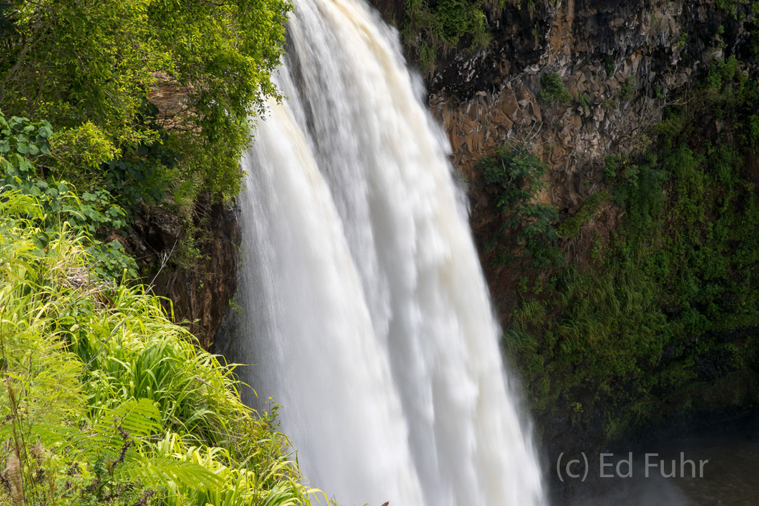Weeks of heavy rain led to Wailua Falls swelling to a roar and rendering the trail to its base inaccessible.