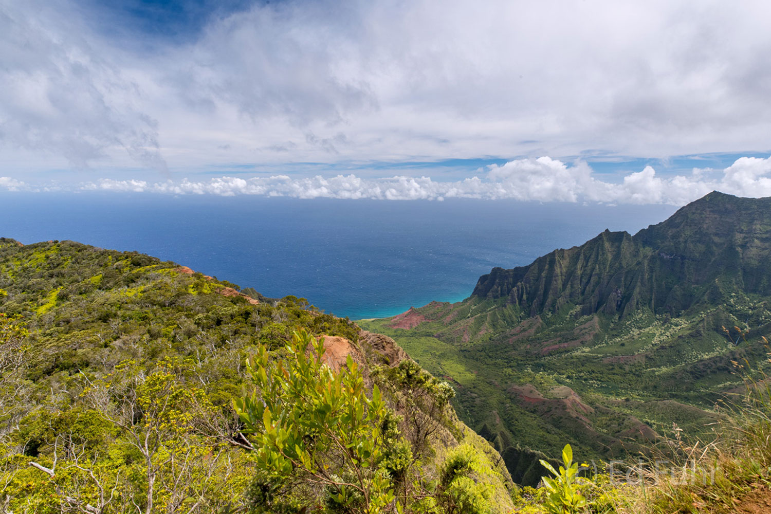 The constant stream of clouds and fog and occasional light creates many moods above this verdant Kauai valley.