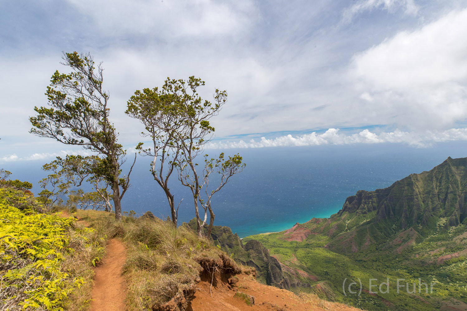One of Kauai's spectacular trails, the Kalepa Ridge Trail wends its way across the increasingly narrow ridge line to an overlook...