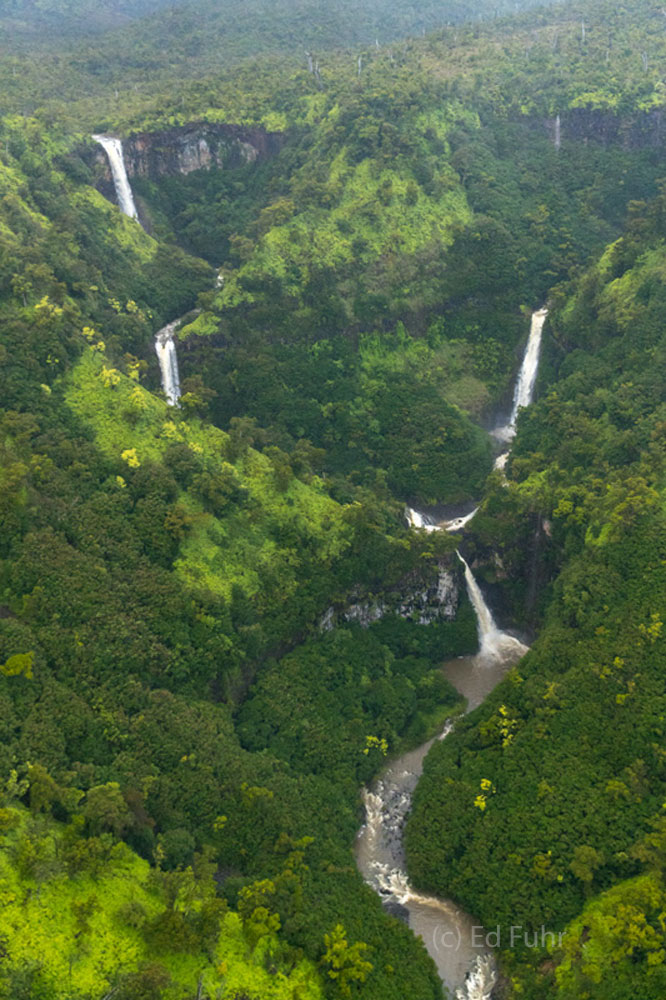 Kauai is one of the wettest places on earth and this summer's early heavy rains had the rivers and falls in Kauai overflowing...