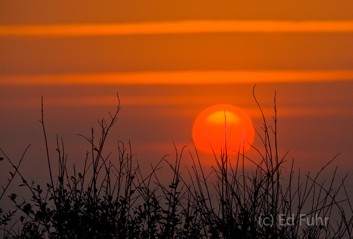 A  fiery sun rises beyond the dune and over the Atlantic.
