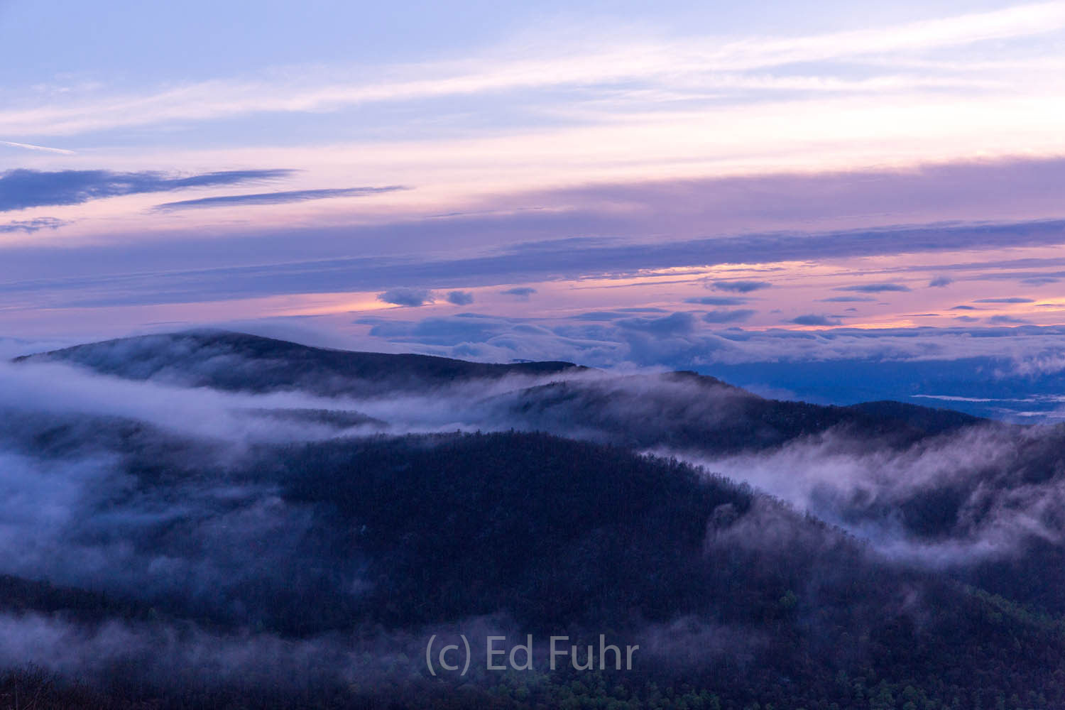 The soft early light greets the sea of fog that surrounds Stony Man Mountain and the other nearby ridges and mountaintops of...
