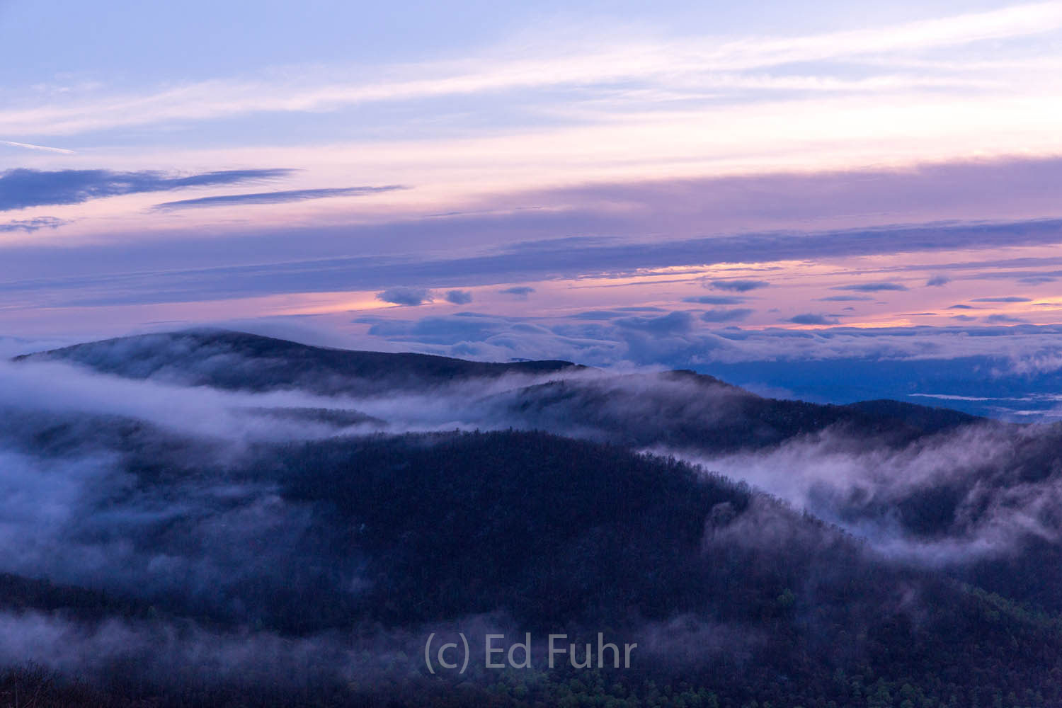 Dawn Break With Flowing Fog The soft early light greets the sea of fog that surrounds Stony Man Mountain and the other nearby ridges and mountaintops of...