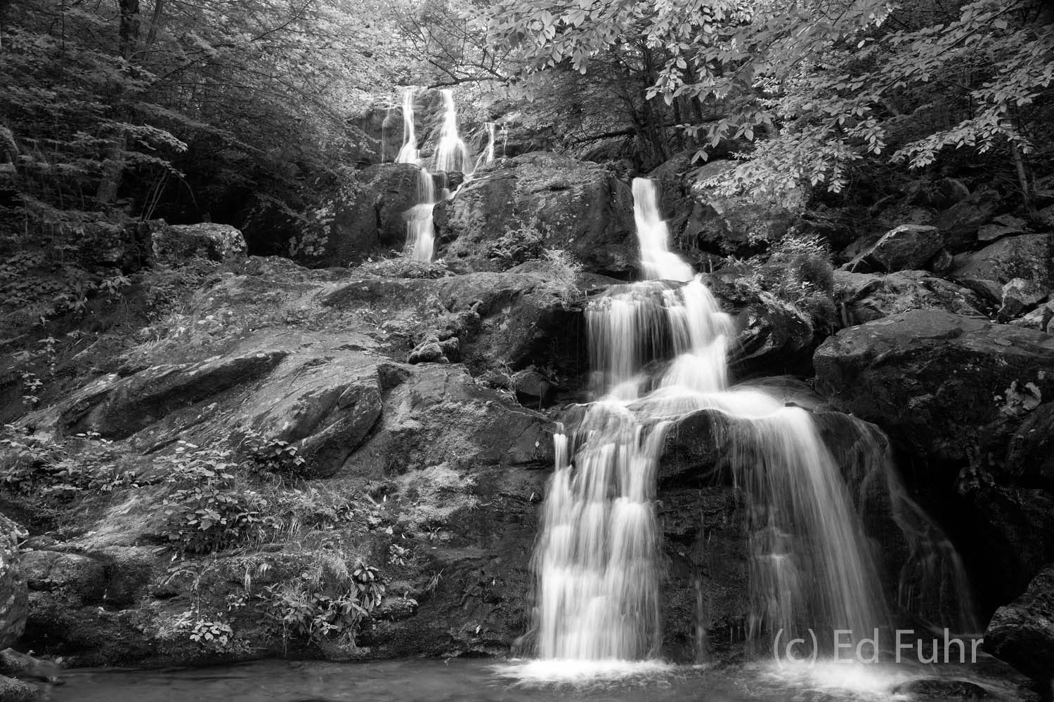 Dark Hollow Falls Study Dark Hollow Waterfall is perhaps even more spectacular in black and white. This image has consistently ranked as among my popular...