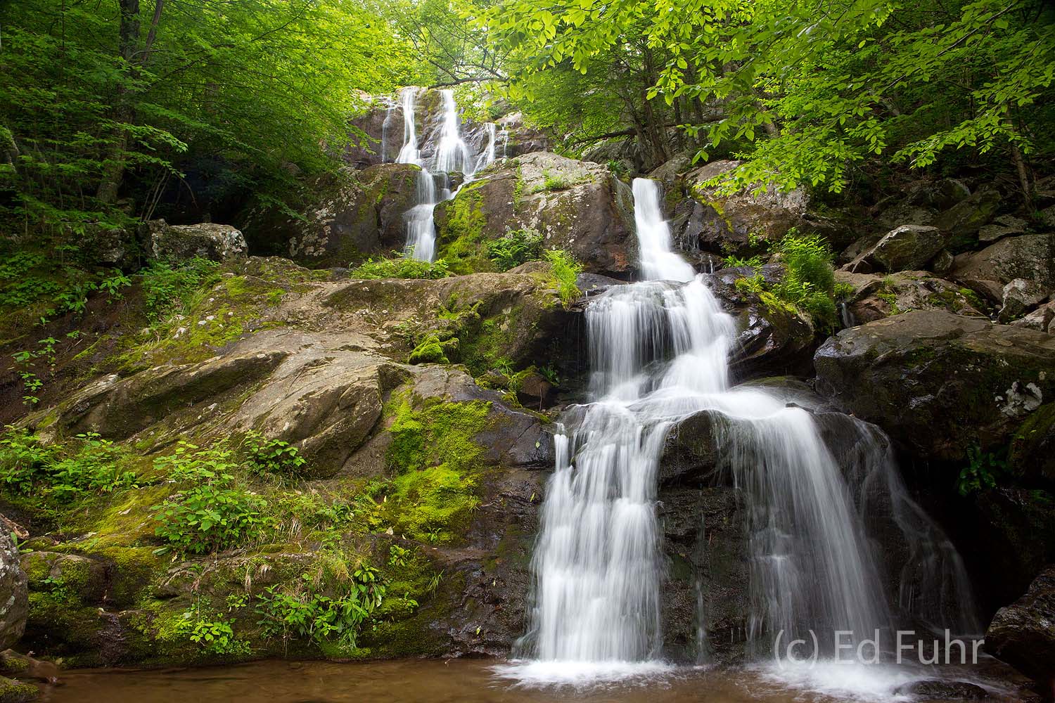 Dark Hollow Falls The lush green of the canopy around Dark Hollow Falls creates the perfect setting for this beautiful waterfall in 2012.